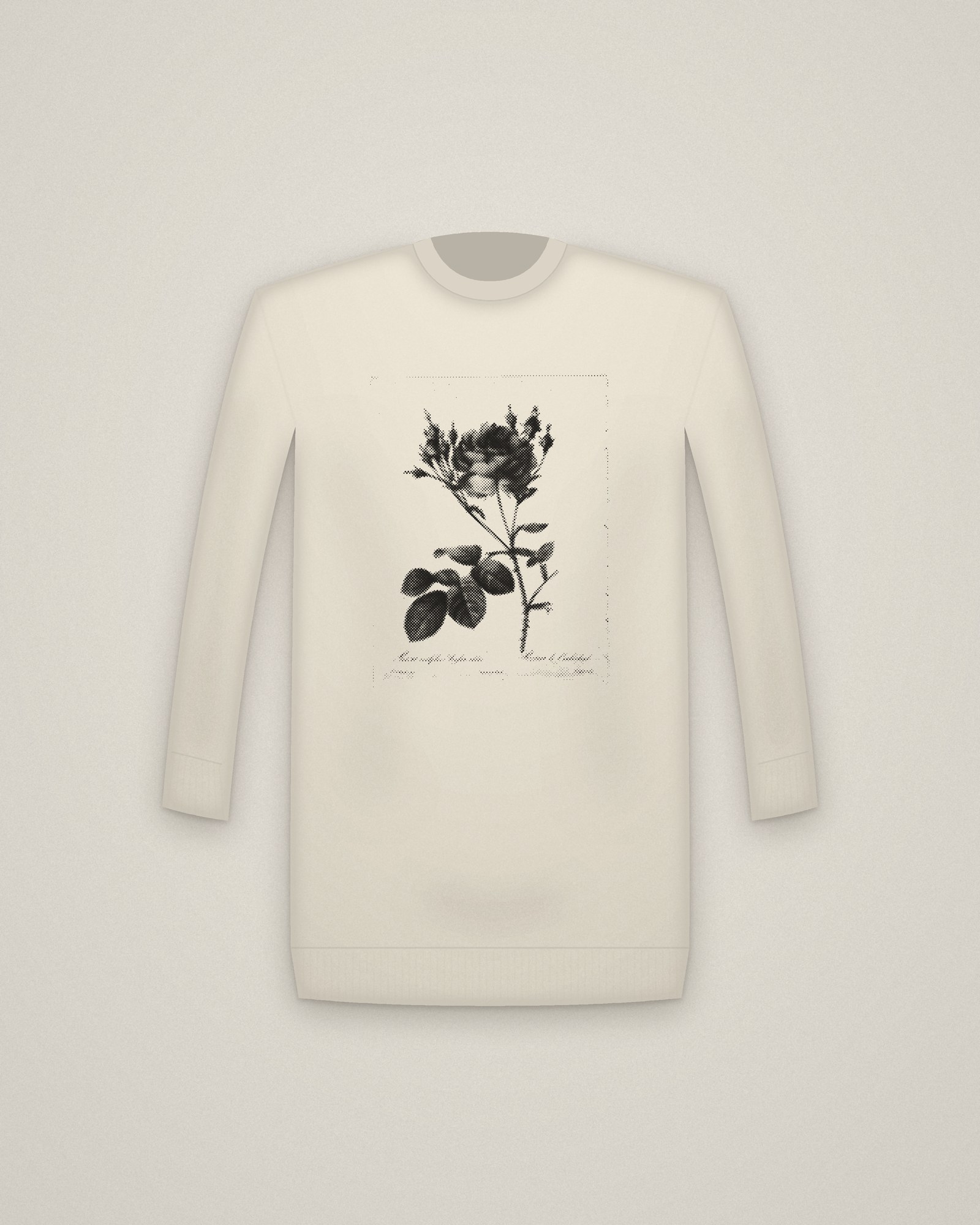 Cabbage Rose Crewneck in Natural, Rosa centifolia anglica rubra, from Les Roses printed in halftone