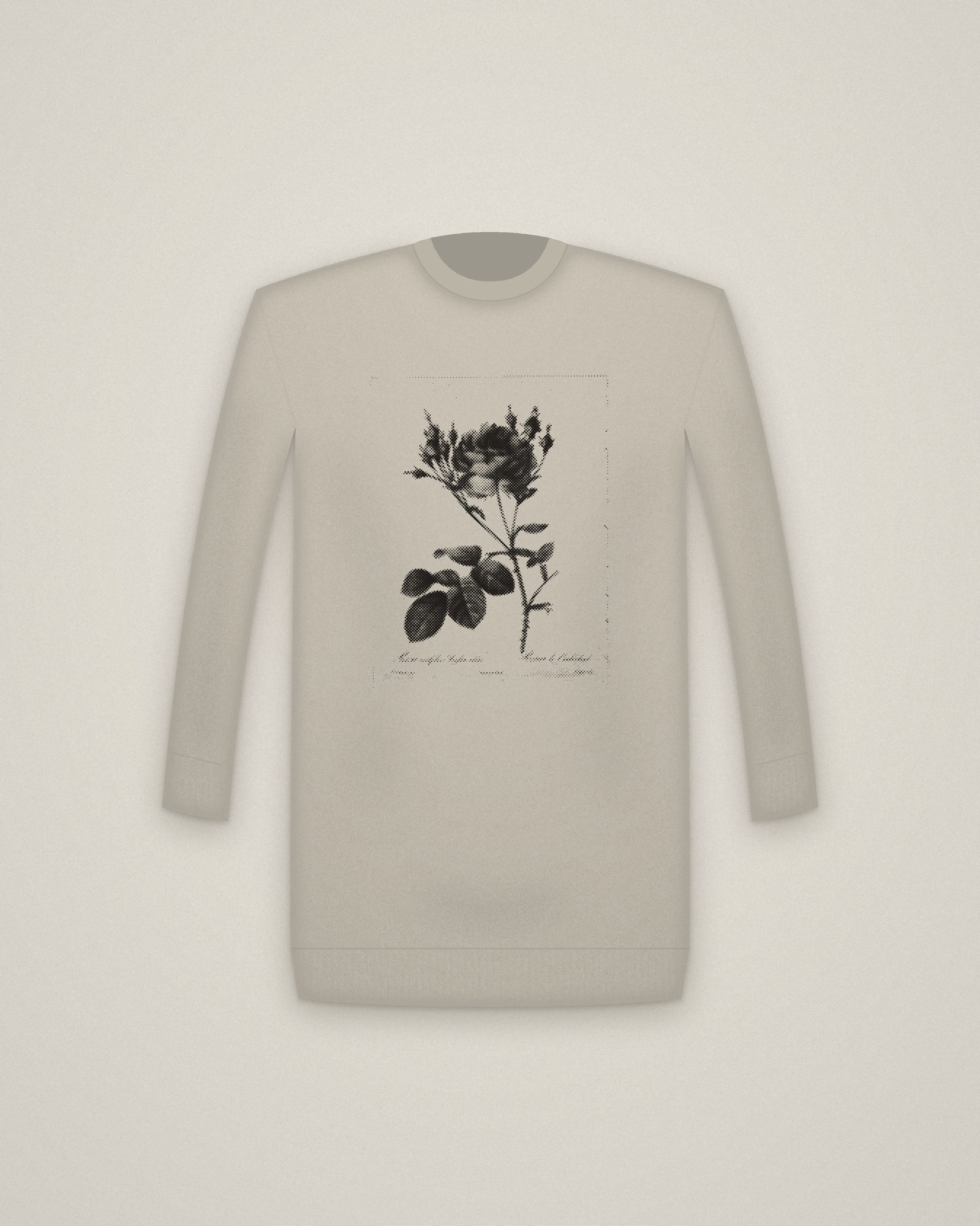 Cabbage Rose Crewneck in Stone, Rosa centifolia anglica rubra, from Les Roses printed in halftone