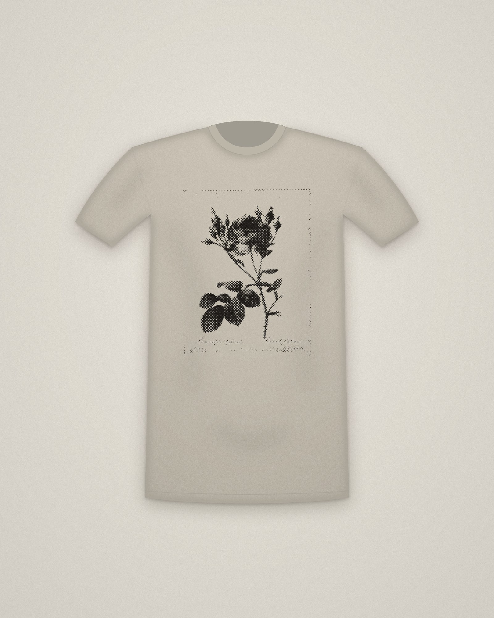 Cabbage Rose Tee in Stone, Rosa centifolia anglica rubra, from Les Roses printed in halftone
