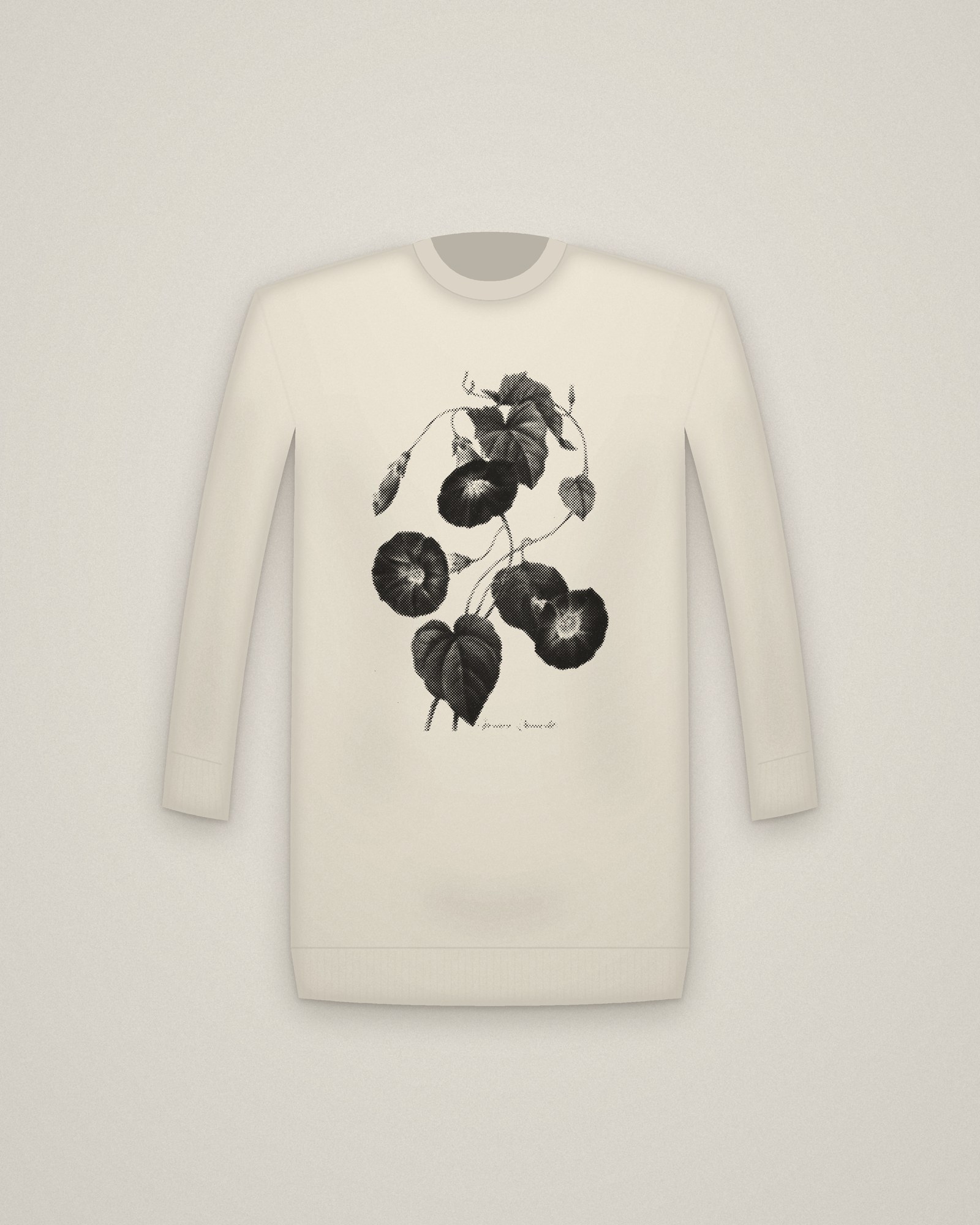Morning Glory Crewneck in Natural, Star-glory Morning-glory printed in halftone