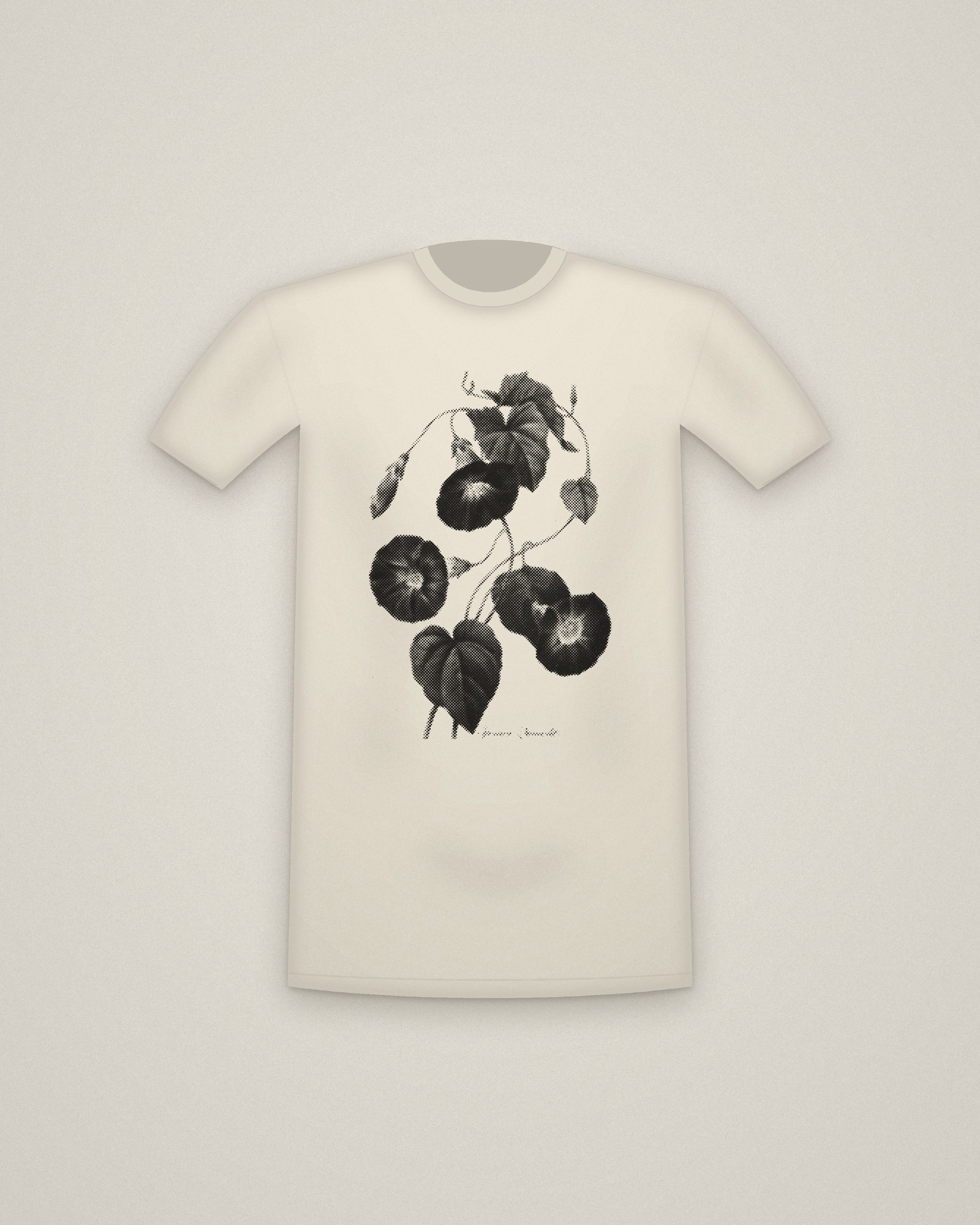 Morning Glory Tee in Natural, Star-glory Morning-glory printed in halftone