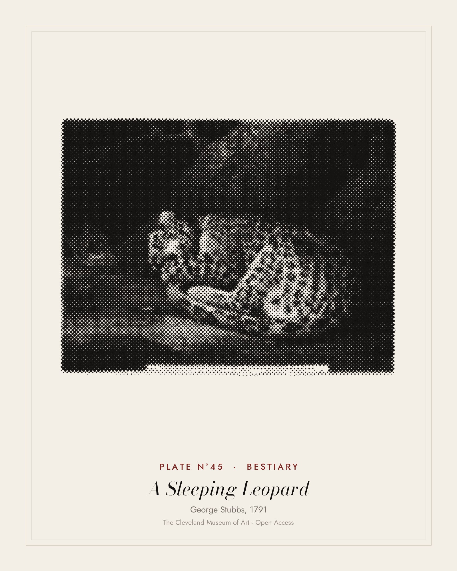 Plate N°45: A Sleeping Leopard, George Stubbs, 1791